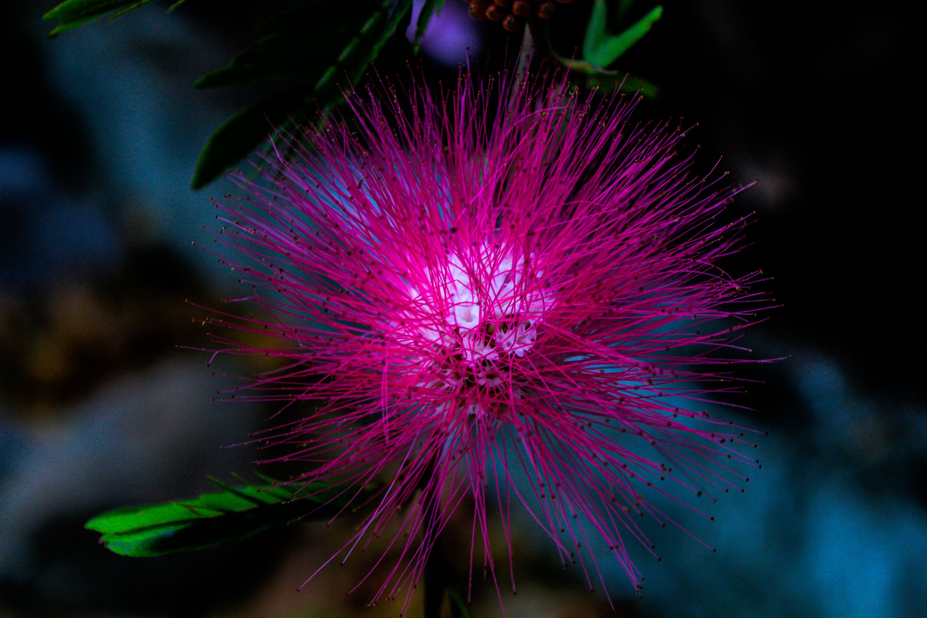 20210317181501_IMG_3228 (1)